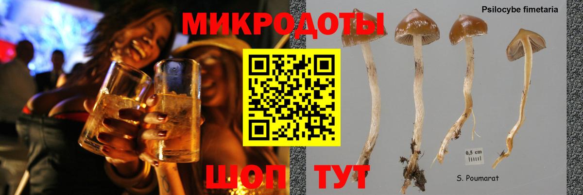 Галлюциногенные грибы Psilocybine cubensis  Галлюциногенные грибы Magic Shrooms  Камень-на-Оби  Вход с VPN 